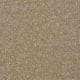 Harborfields I 15' in Muffin - Carpet by Shaw Flooring