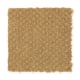 Unification in Sunrise - Carpet by Mohawk Flooring