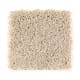 Creative Charm in Masonry - Carpet by Mohawk Flooring