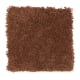 Comfortable Creation I in Burning Ember - Carpet by Mohawk Flooring