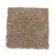 Charming Elegance Solid in Beech Bark - Carpet by Mohawk Flooring