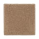 Absolute Elegance II in Glazed Ginger - Carpet by Mohawk Flooring
