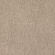 Soft Eloquence in Folklore - Carpet by Mohawk Flooring