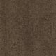 Quiet Comfort Classic II in Bison - Carpet by Shaw Flooring