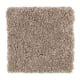 Serene Touch in Studio Taupe - Carpet by Mohawk Flooring
