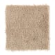 Solo in Tinted Neutral - Carpet by Mohawk Flooring