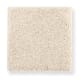 Pleasant Nature in Ivory Luster - Carpet by Mohawk Flooring