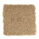 Grande Couture in Cookie Crumbs - Carpet by Mohawk Flooring