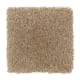 Sensible Style III in Desert Mud - Carpet by Mohawk Flooring