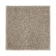 Exquisite Attraction in Plantation - Carpet by Mohawk Flooring