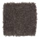 Graceful Glamour in Dried Peat - Carpet by Mohawk Flooring