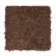 Comfortable Creation II in Rich Mahogany - Carpet by Mohawk Flooring