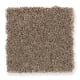 Chic Appearance in Dry Twig - Carpet by Mohawk Flooring