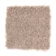 American Splendor I in Formal Khaki - Carpet by Mohawk Flooring