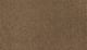 Common Values I in Walnut - Carpet by Mohawk Flooring