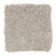 Brilliant Influence in Stepping Stone - Carpet by Mohawk Flooring