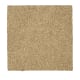 Native Allure I in Mushroom Cap - Carpet by Mohawk Flooring