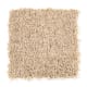 Intelligent Style in Curry - Carpet by Mohawk Flooring