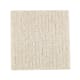 Rustic Luxury in Morning Mist - Carpet by Mohawk Flooring