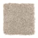 Enticing Objective in Oyster Shell - Carpet by Mohawk Flooring