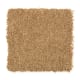 Exclusive Content II in Hazelnut - Carpet by Mohawk Flooring