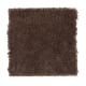 Solo in Dark Roast - Carpet by Mohawk Flooring