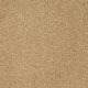 Soft Eloquence in Gondola - Carpet by Mohawk Flooring