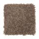 Intelligent Style in Rock Wall - Carpet by Mohawk Flooring