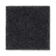 Intelligent Style in Domino - Carpet by Mohawk Flooring