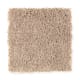 Simple Selection in Mushroom Cap - Carpet by Mohawk Flooring