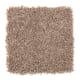 Smart Color in Malt - Carpet by Mohawk Flooring