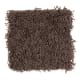 Creative Charm in Coffee Bean - Carpet by Mohawk Flooring