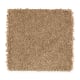 Comfortable Creation II in Rawhide - Carpet by Mohawk Flooring