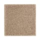 Opulent Charm in Timeless - Carpet by Mohawk Flooring