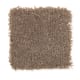 Northern Shores in Pine Cone - Carpet by Mohawk Flooring
