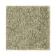 Intelligent Style in Springtide - Carpet by Mohawk Flooring