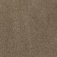 Soft Eloquence in Rustic Splendor - Carpet by Mohawk Flooring