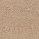 Secluded Oasis in Cracked Wheat - Carpet by Mohawk Flooring