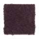 Solo in Plum Purple - Carpet by Mohawk Flooring