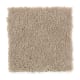 Solo in Stepping Stone - Carpet by Mohawk Flooring