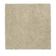 Nature's Appeal I in Overcast - Carpet by Mohawk Flooring