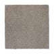 Nature's Appeal I in Mineral Grey - Carpet by Mohawk Flooring