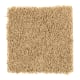 Sassy Arrangement in Torch Light - Carpet by Mohawk Flooring