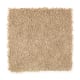 Comfortable Creation II in Oak Panel - Carpet by Mohawk Flooring