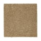 Peaceful Elegance in Tortoise Comb - Carpet by Mohawk Flooring