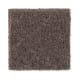 Simply Soft I in Chocolate Mousse - Carpet by Mohawk Flooring