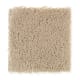 Solo in Resort Tan - Carpet by Mohawk Flooring