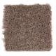 Waterview in Thoroughbred - Carpet by Mohawk Flooring