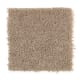 Solo in Homestead - Carpet by Mohawk Flooring