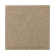 Nature's Charm II in Brushed Suede - Carpet by Mohawk Flooring